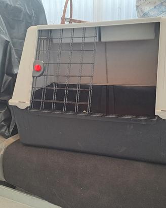 trasportino cane auto