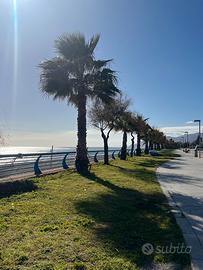 OPEN SPACE MARE: vicino Taormina