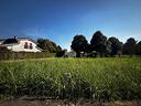 ter-residenziale-a-stanghella