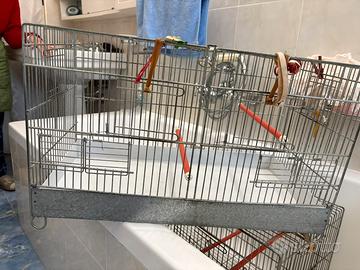 Due gabbie per uccellini