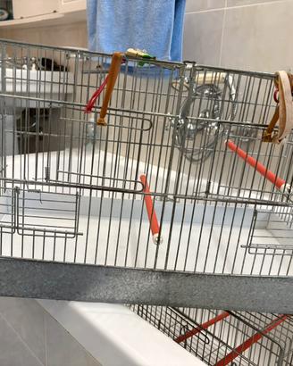 Due gabbie per uccellini