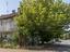 Immagine 18