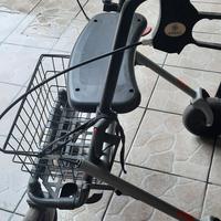 carrello deambulatore