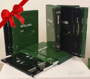 Avellino calcio storia dei 100 anni della squadra