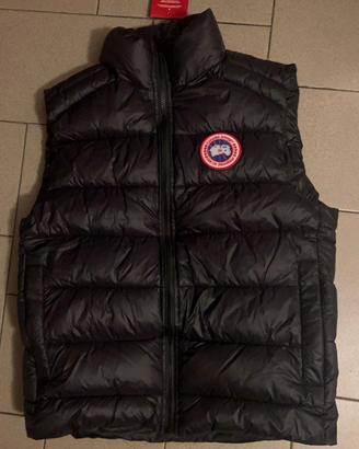Smanicato canada goose
