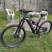 Mtb Olympia Carbonio