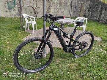 Mtb Olympia Carbonio