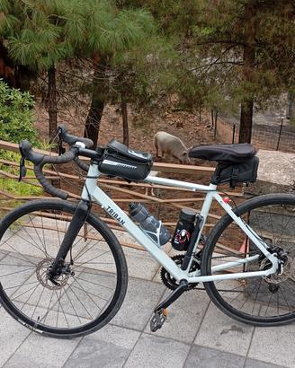 Bici da corsa