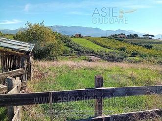 Appartamento Velletri [A4334470]