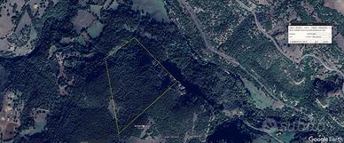 Terreno agricolo bosco