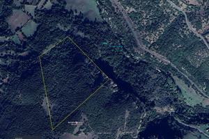 Terreno agricolo bosco