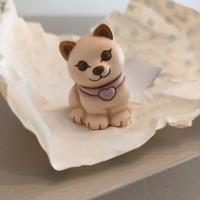 Gatto bianco Bauli x Thun 2026