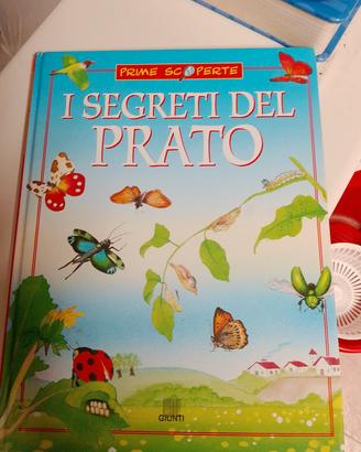 i segreti del prato per bambini