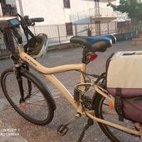 bici elettrica a pedalata assistita