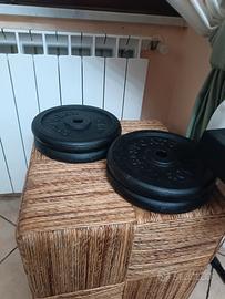 4 dischi pesi palestra da 10 kg