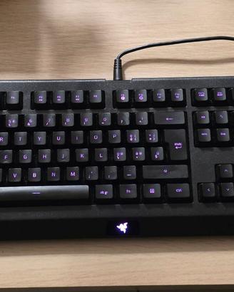 Tastiera Gaming Razer Cynosa Lite RGB