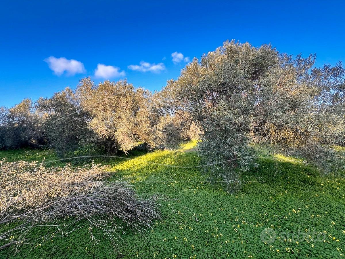 Guspini - Terreno - Vista 3
