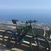 Mountain  bike elettrica Haibike