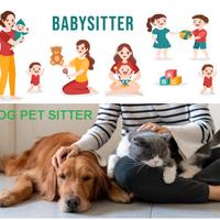 Babysitter / Dog Pet Sitter