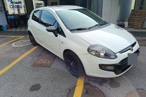 Fiat punto neopatentati