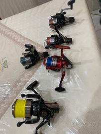 Tica Shimano Daiwa