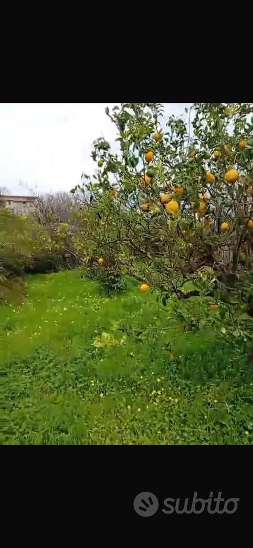 Terreno agricolo - Vista 2