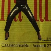 ticket Concerto 1996 Tina Turner
