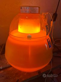Incubatrice novital 16 l