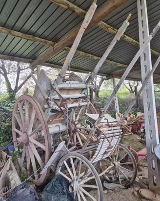 Carro e calesse per cavallo