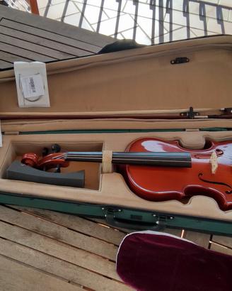 violino 
