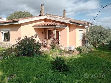 Poggio dei pini