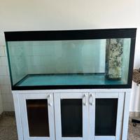Acquario