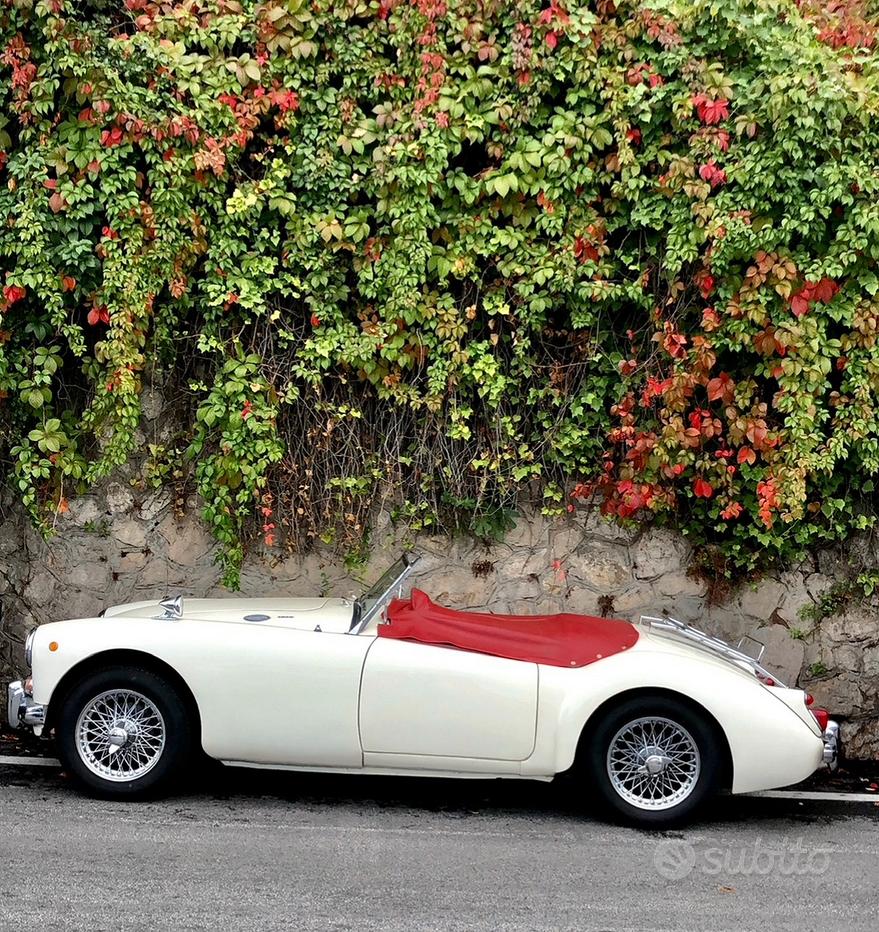 MG Altro modello