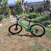 Mountain bike bergamont 24