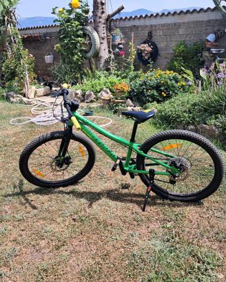 Mountain bike bergamont 24
