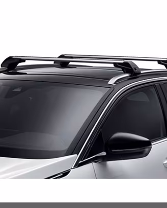 barreportatutto originali peugeout 3008  P84