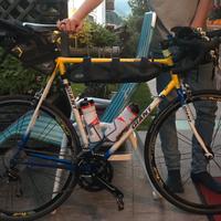 Giant Peloton bdc acciaio