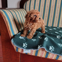 Barboncini Fulvo Toy