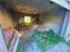 Immagine 15