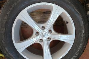 lo pneumatico più cerchio compatibile con Freeland