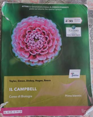 Il Campbell + quaderno degli esercizi 