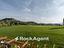 Immagine 24