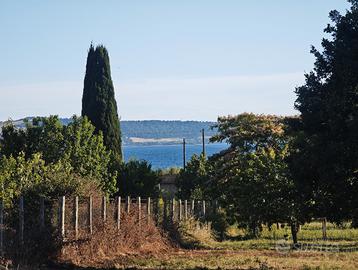 Terreno agricolo possibilità VAS