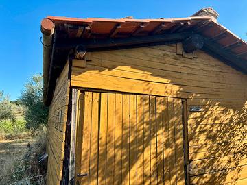 Terreno con 190 ulivi e annesso