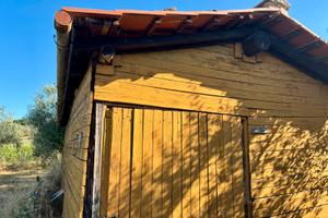 Terreno con 190 ulivi e annesso