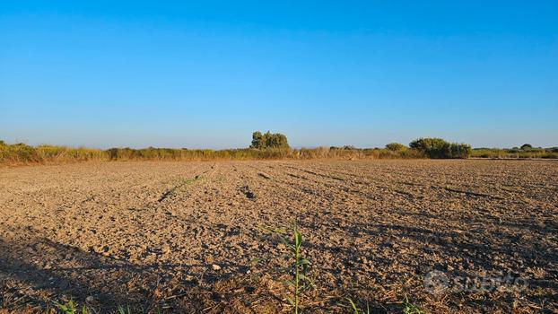 Terreno agricolo con pozzo attivo