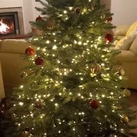 albero natale