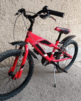 Bicicletta 20 bambino 