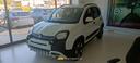 fiat-panda-cross-1-0-firefly-s-s-hybrid