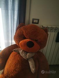 Peluche Orso di 180 cm